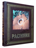 Растения.
