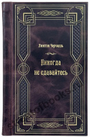 Никогда не сдавайтесь. Уинстон Черчилль