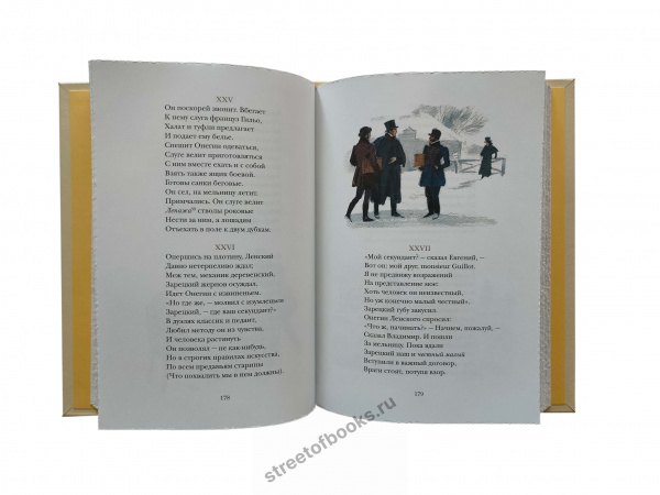 Евгений Онегин в футляре