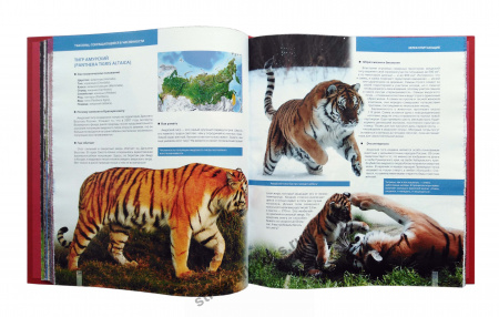Большая красная книга.