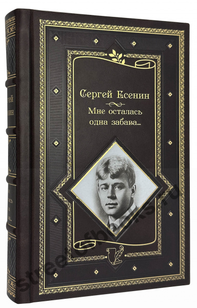 Есенин Сергей "Мне осталась одна забава..."