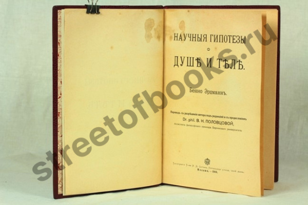 Научные гипотезы о душе и теле