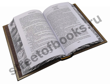 купить подарочную книгу Теодор Драйзер-Сестра Керри