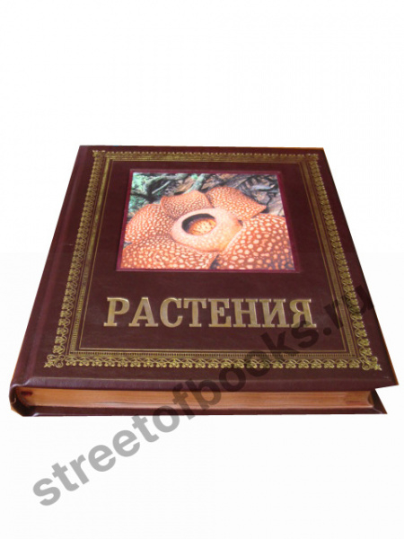 Растения.