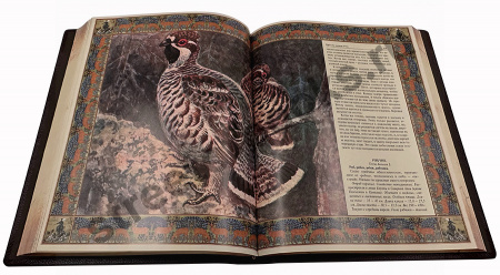 Русская охота. Эксклюзивная книга