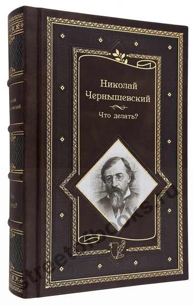 купить подарочную книгу - Чернышевский Что делать?