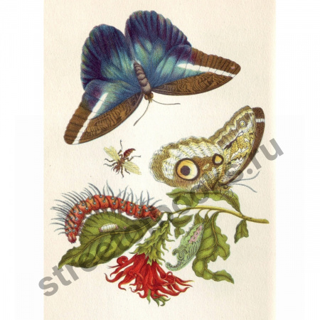 Leningrader Aquarelle. Ленинградские акварели. В 2 томах: