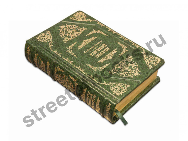Евгений Онегин. Пушкин-подарочная книга.