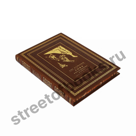 Лыжи и их применение к спорту. Репринтное издание